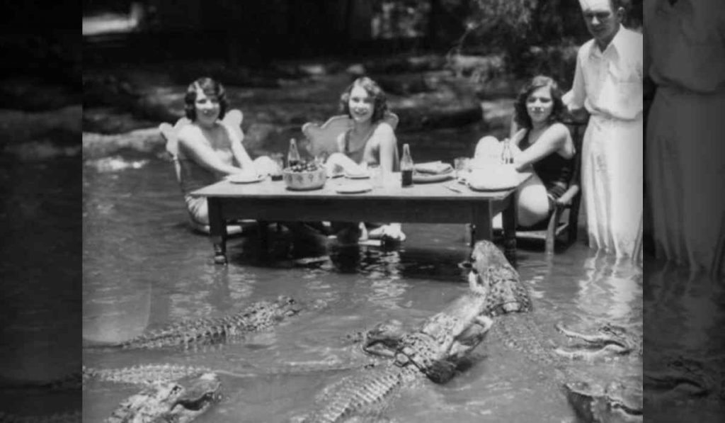 families visited the California Alligator Farm for a unique outing
