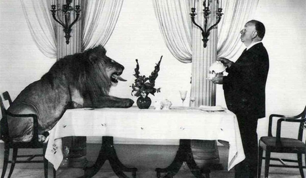 Alfred Hitchcock having tea with a lion