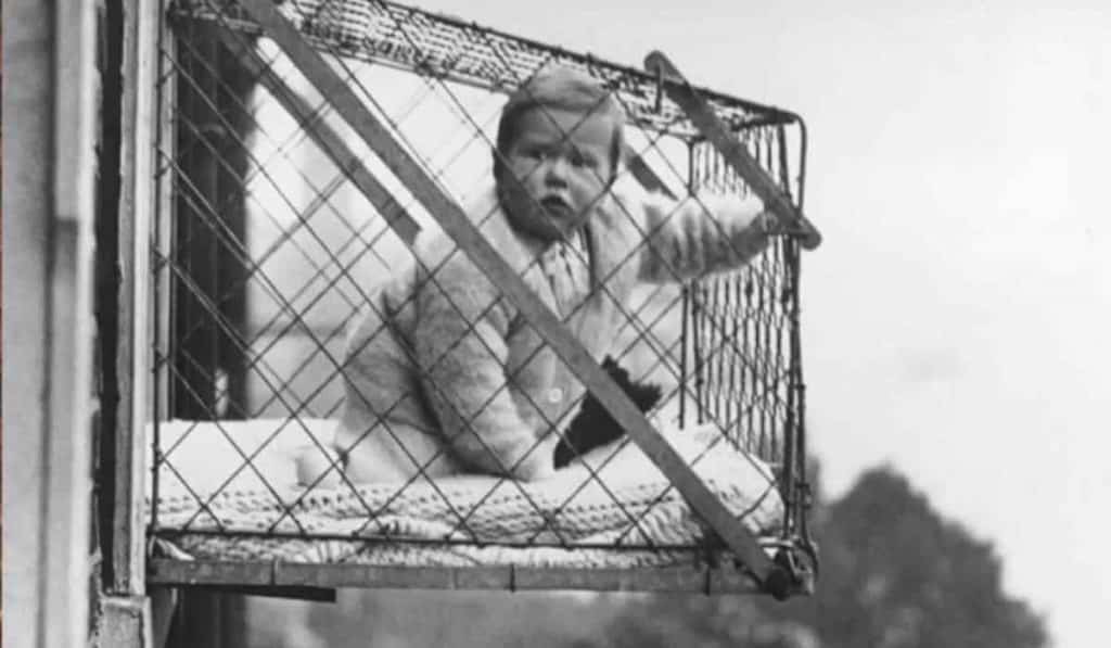 suspended window cages for babies to get fresh air and sunlight