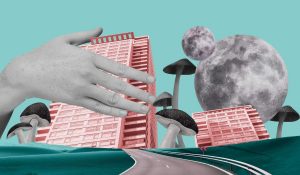 weirdest museums in the world