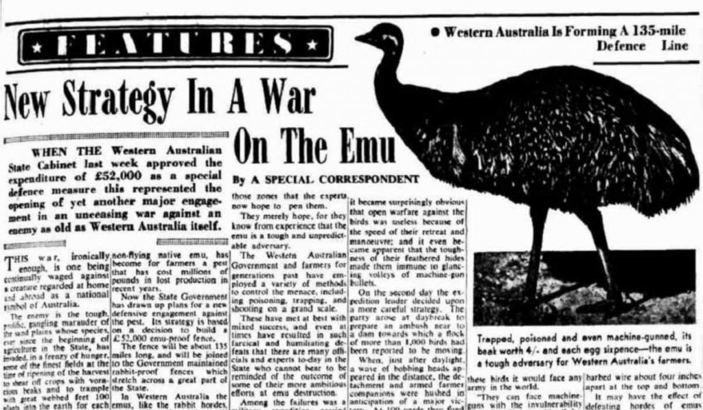 Newspaper clipping of the great emu war