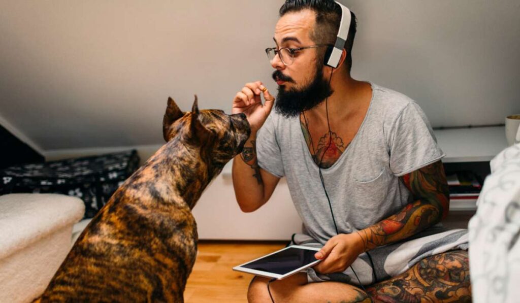 Having conversations with pets