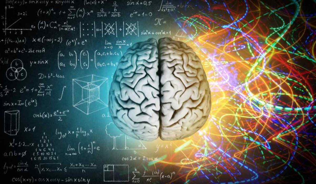 Human Brain Can Store 2.5 Million Gigabytes