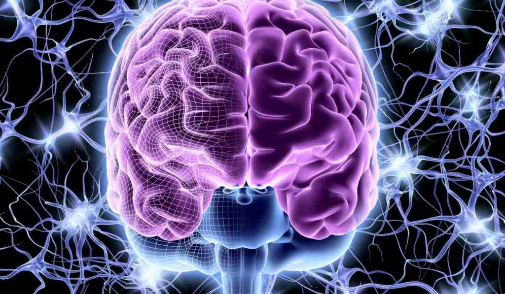 Our Brain Burns 400-500 Calories Everyday