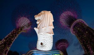 Best Things To Buy In Singapore
