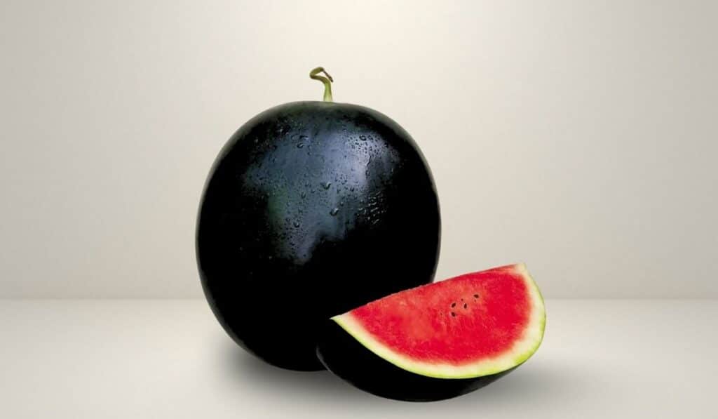 Expensive Densuke Watermelons Fruit