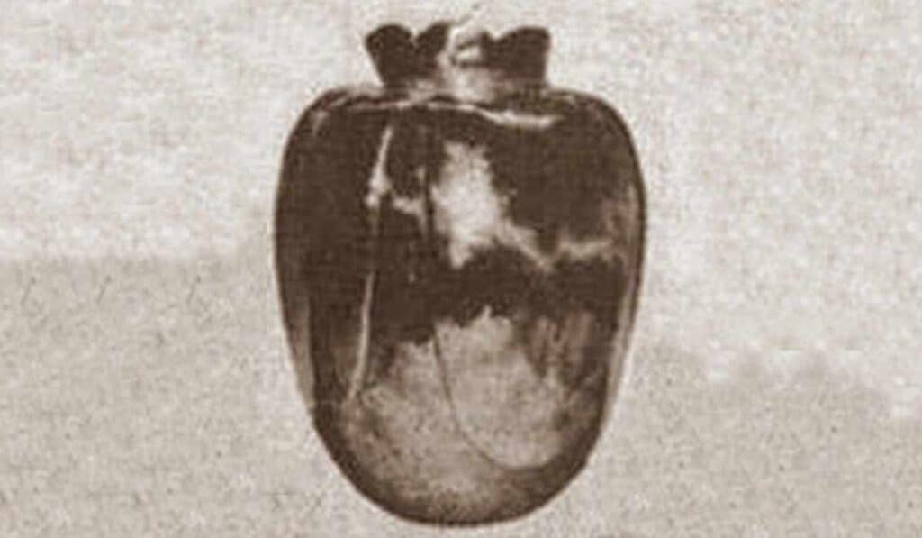 The Basano Vase - most cursed object in the world
