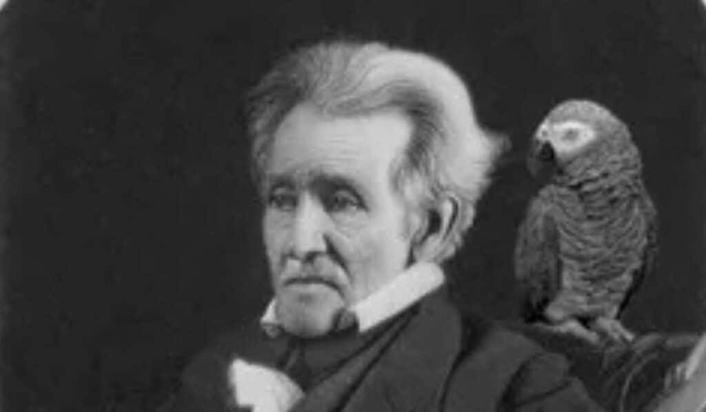 fun fact about US president - Andrew Jackson’ had a Pet Parrot