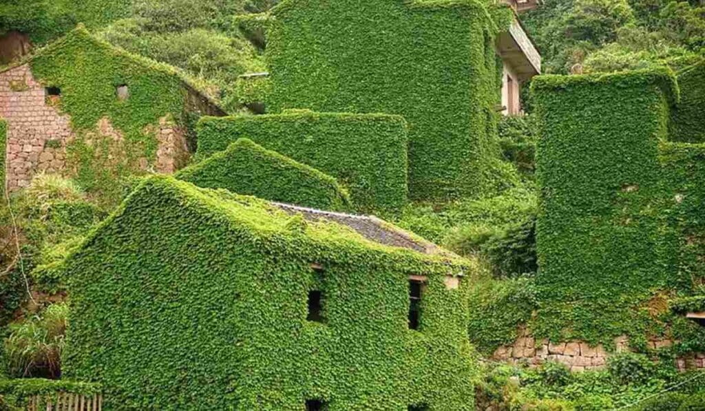 Houtouwan - overgrown abandoned city