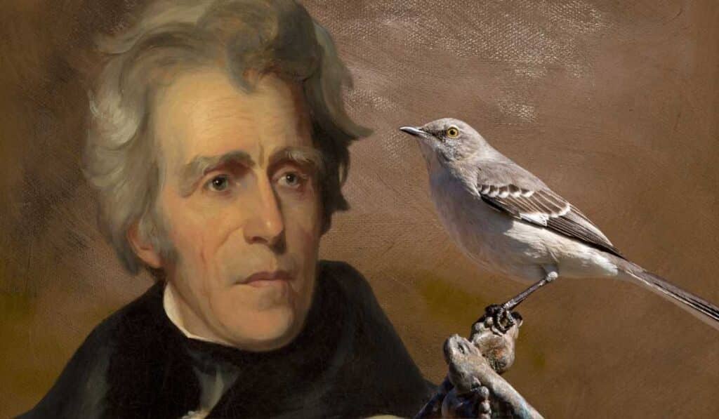 Thomas Jefferson had a pet mockingbird