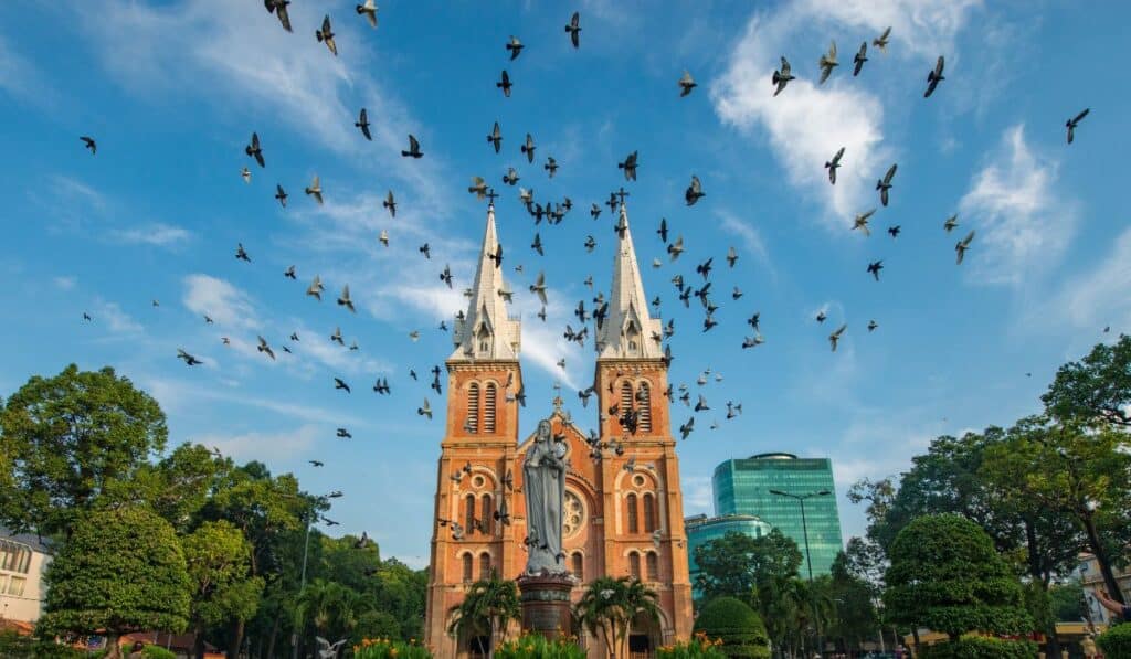 Pigeons navigate using magentic field of the Earth