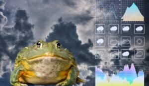 animals that can predict weather