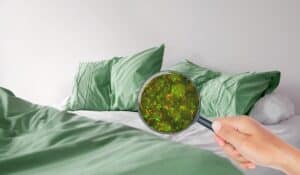 How Often Should You Change Your Sheets?