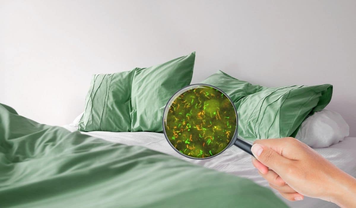 How Often Should You Change Your Sheets?