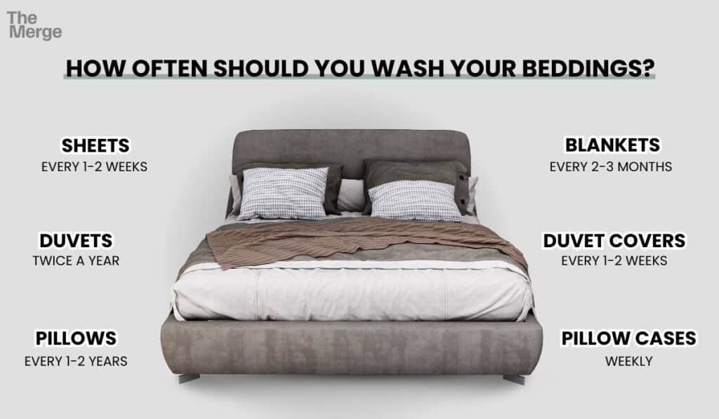 INFOGRAPHIC: how often should you change your sheets
