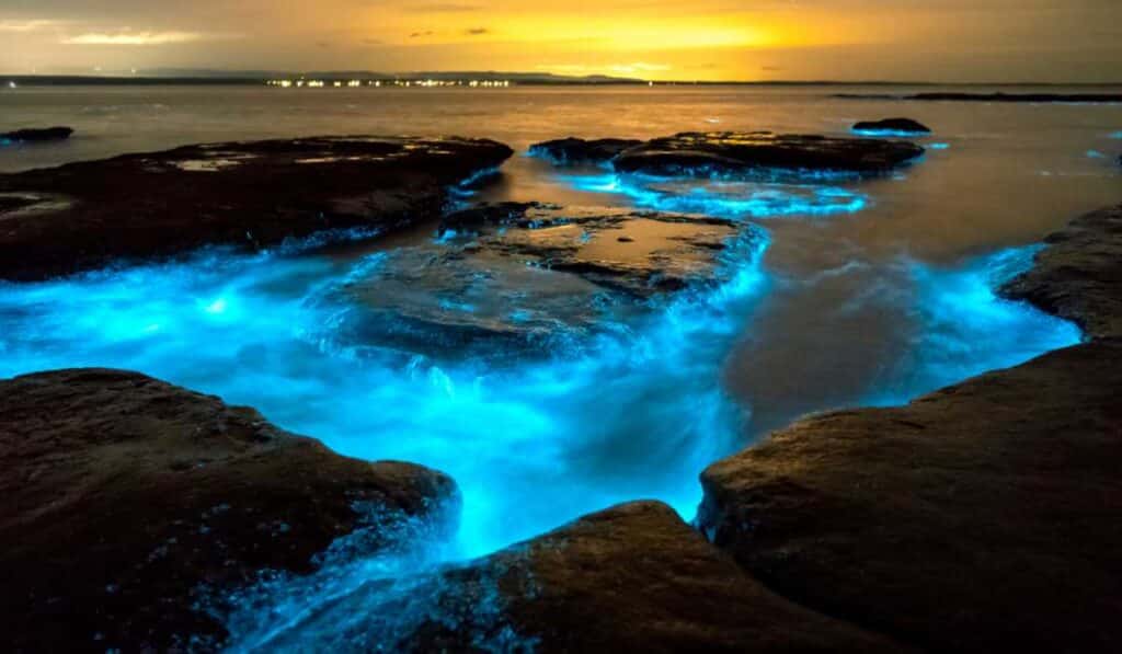 Ocean mysteries - Milky Sea Phenomenon