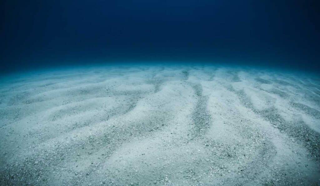 The Ocean Floor is a mystery