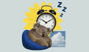Animals That Sleep The Most