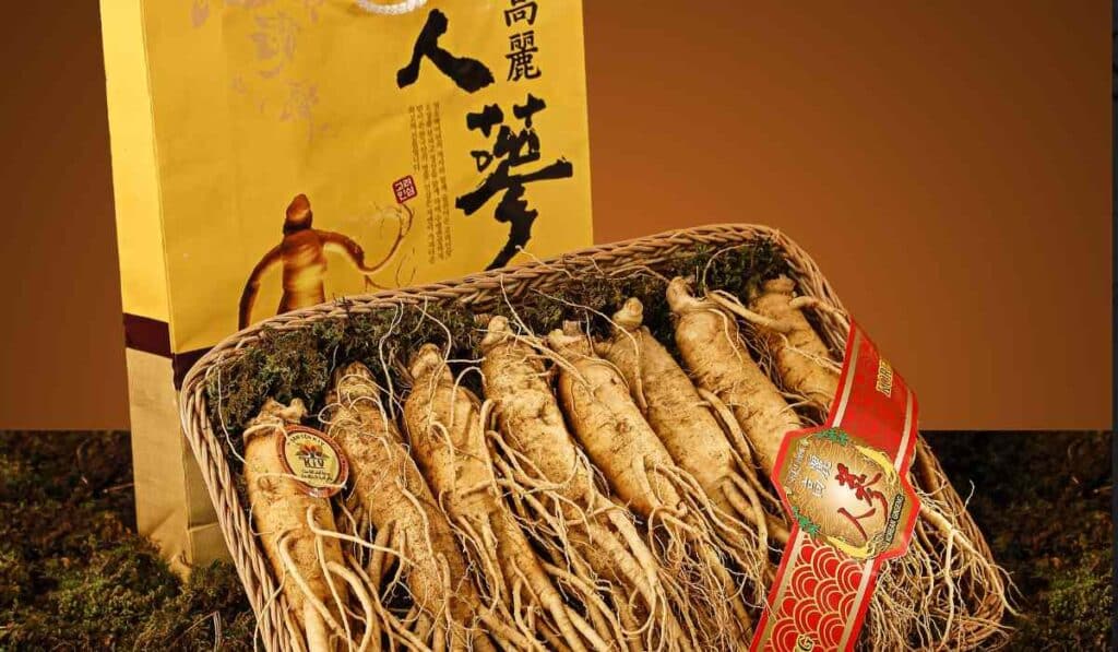 things to buy in Korea - Ginseng products