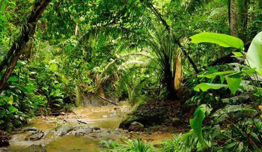 The Darién Gap, Colombia hold mysteries