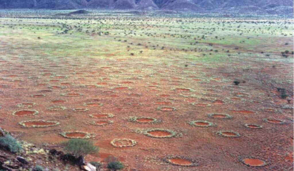 Most mysterious place in the world - The Namib Desert’s Fairy Circles