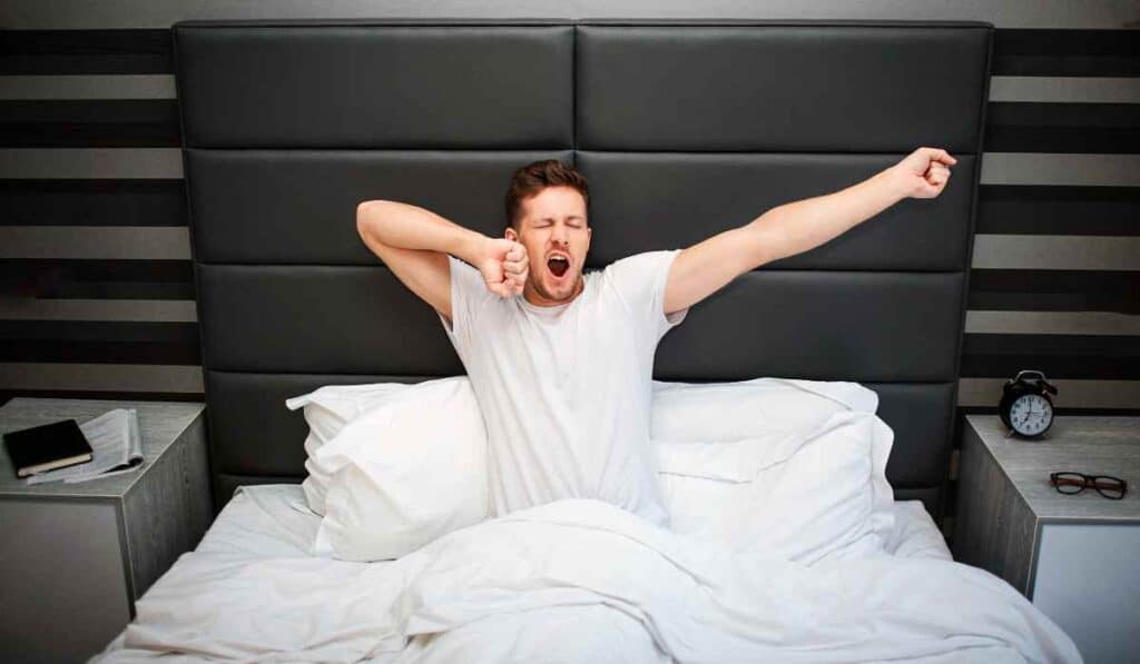 Yawn—The Snooze Company - Interesting business name