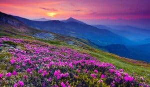 places on earth that don't feel real