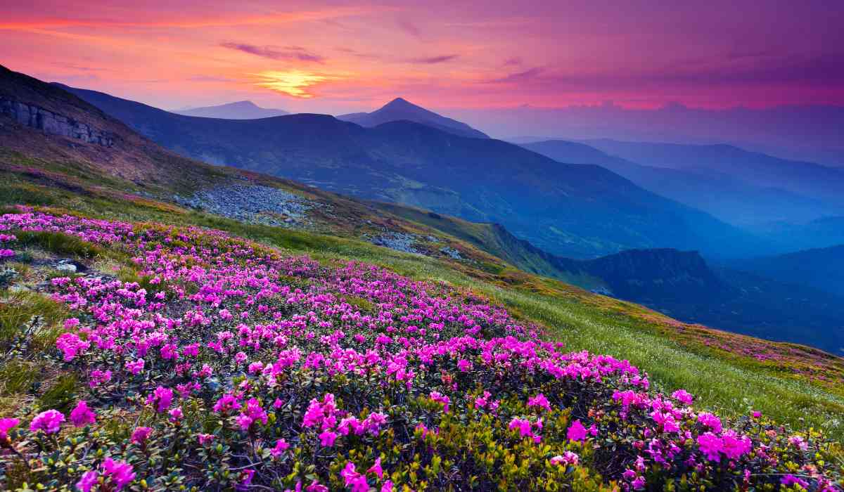 places on earth that don't feel real