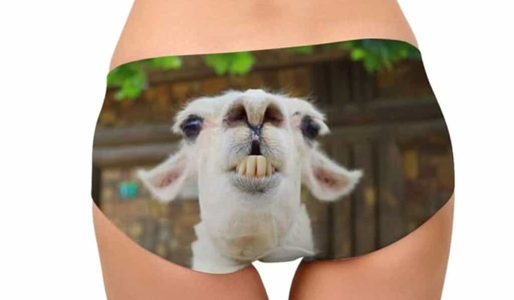  weird products that actually exist - Dellukee underwear