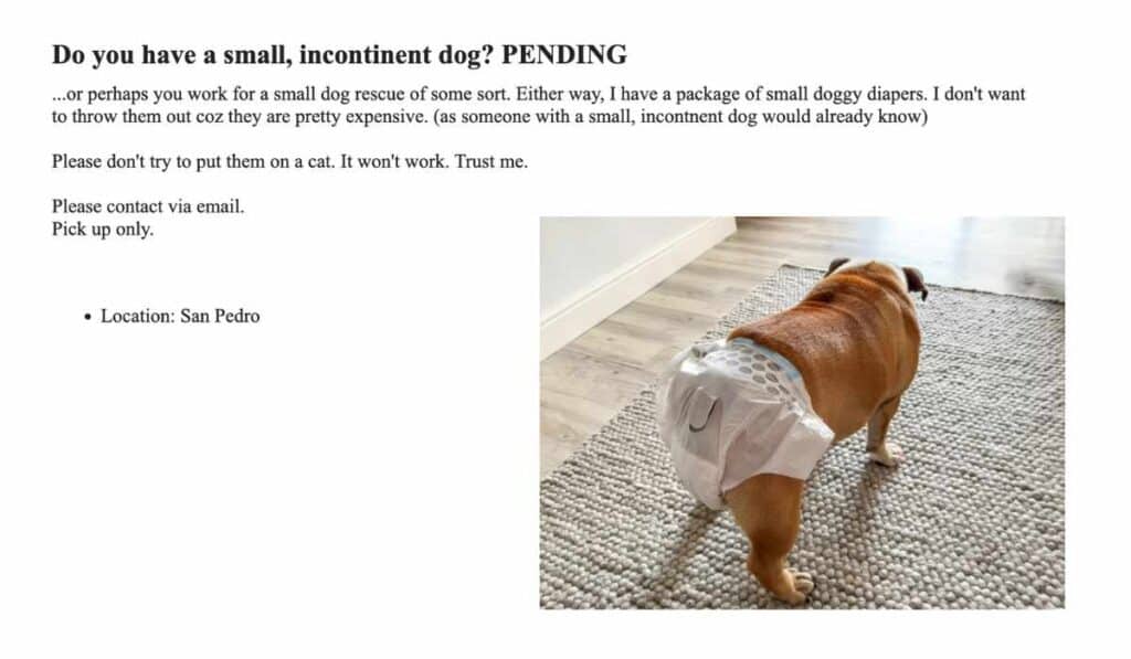 selling dog diapers on Craigslist