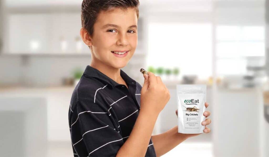 Bizarre Edible Insects product on Amazon