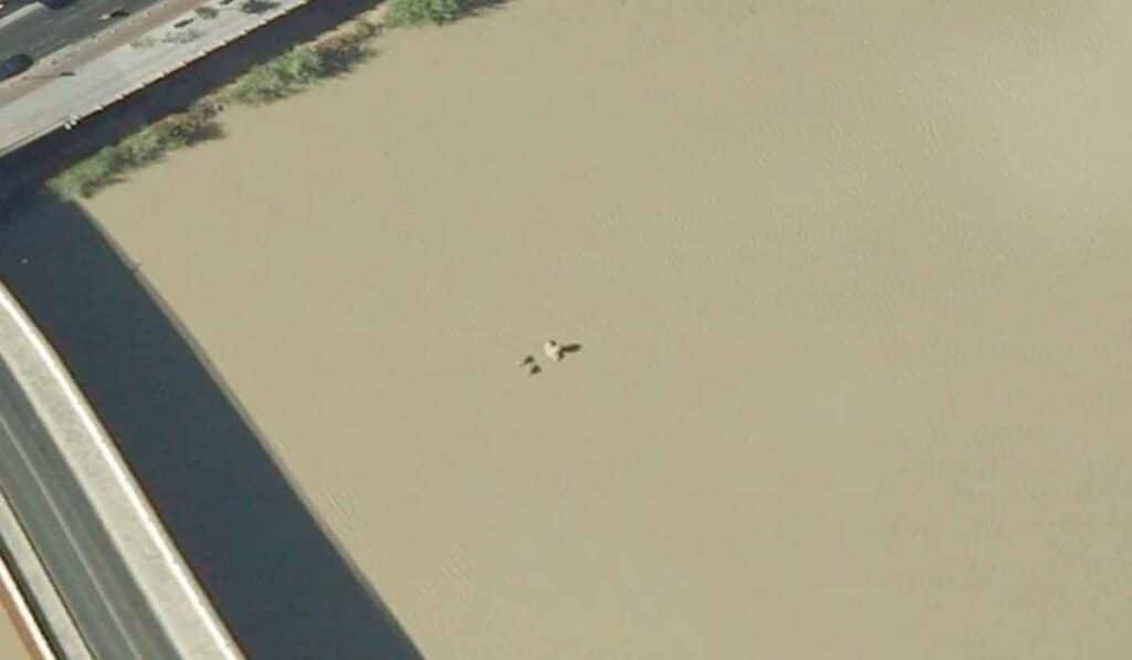 Weird coordinates showing a giant taking a bath