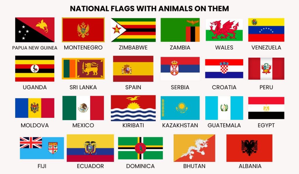 Infographic - country flags with animals