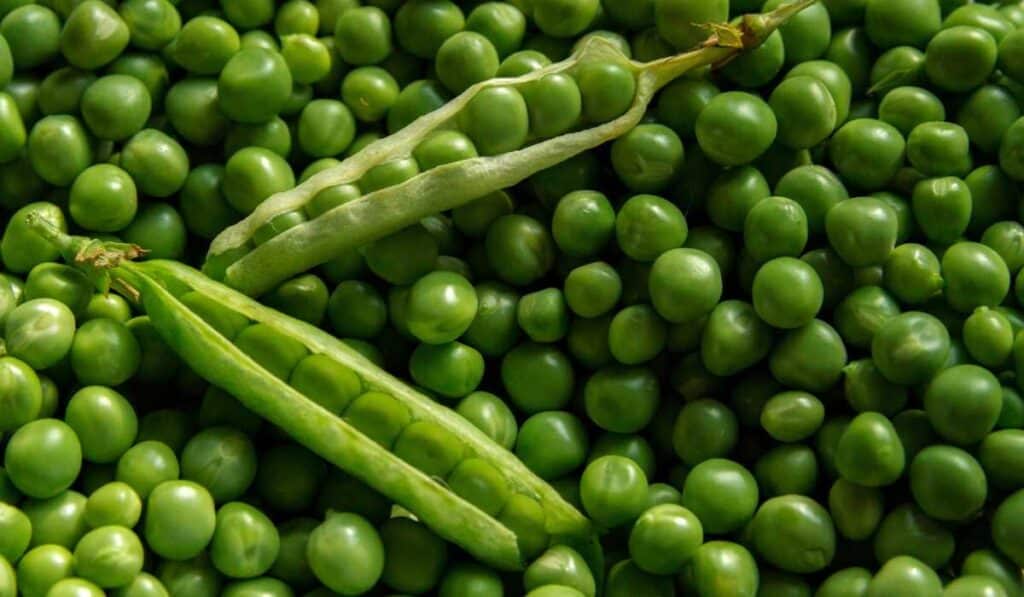 Peas are fruits and not green vegetables