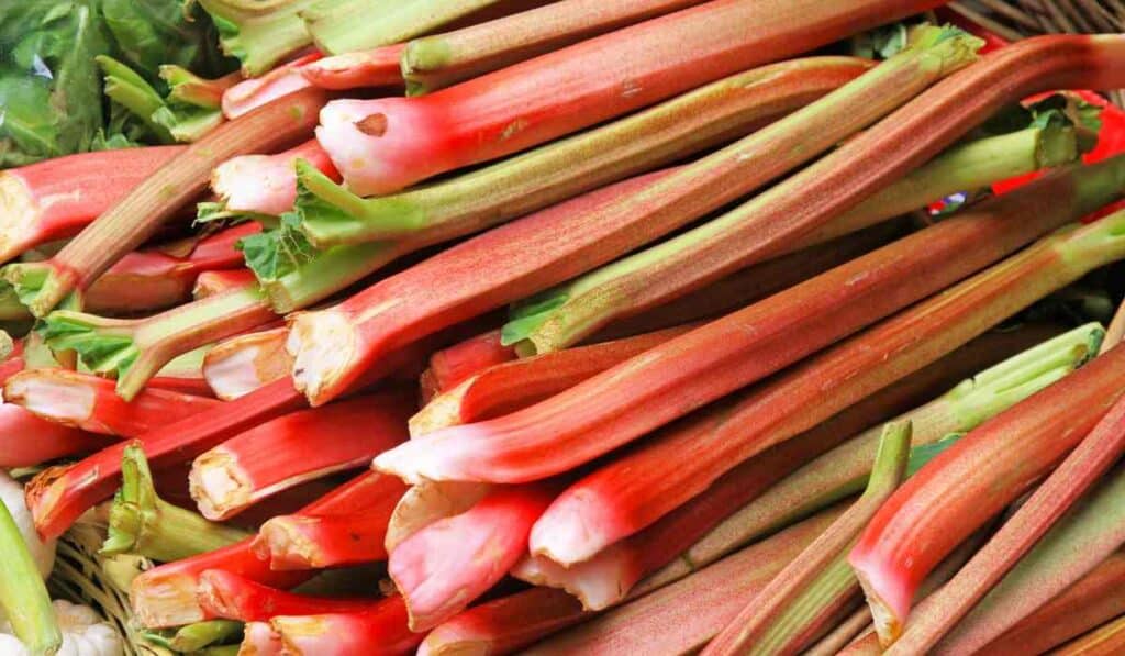 vegetables mistaken for fruits - Rhubarb