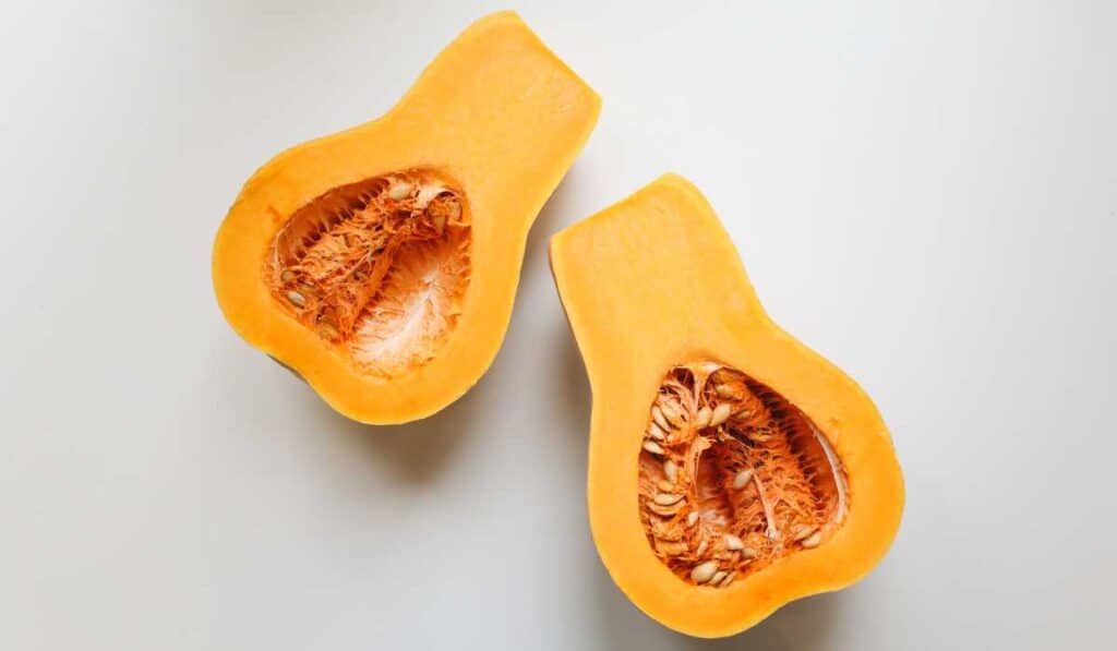 Squash is botanically a fruit