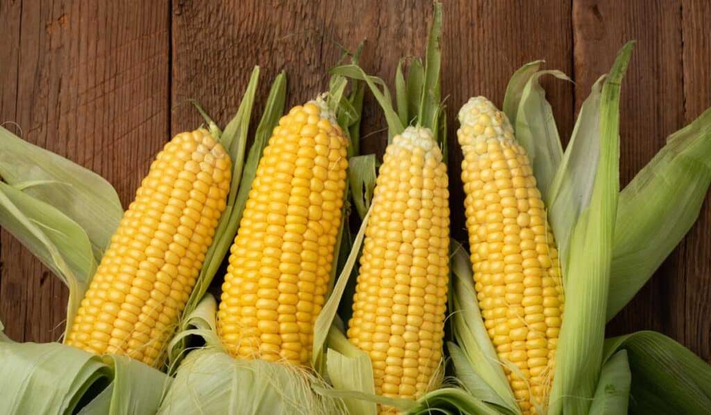 vegetables that are actually fruits - sweet corn