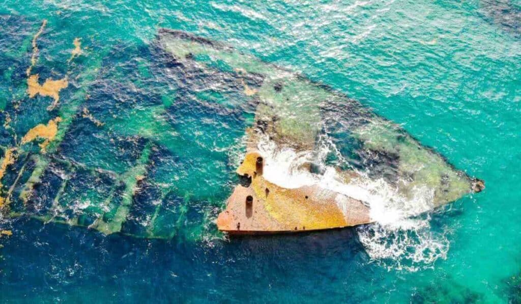 The Black Swan Wreckage