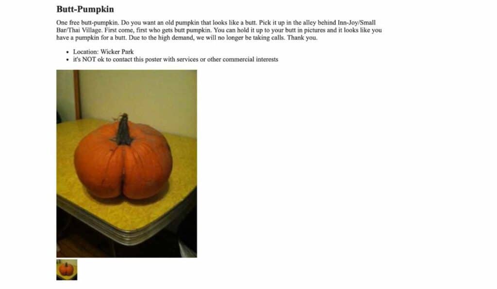 best ad on craigslist - butt-shaped pumpkin