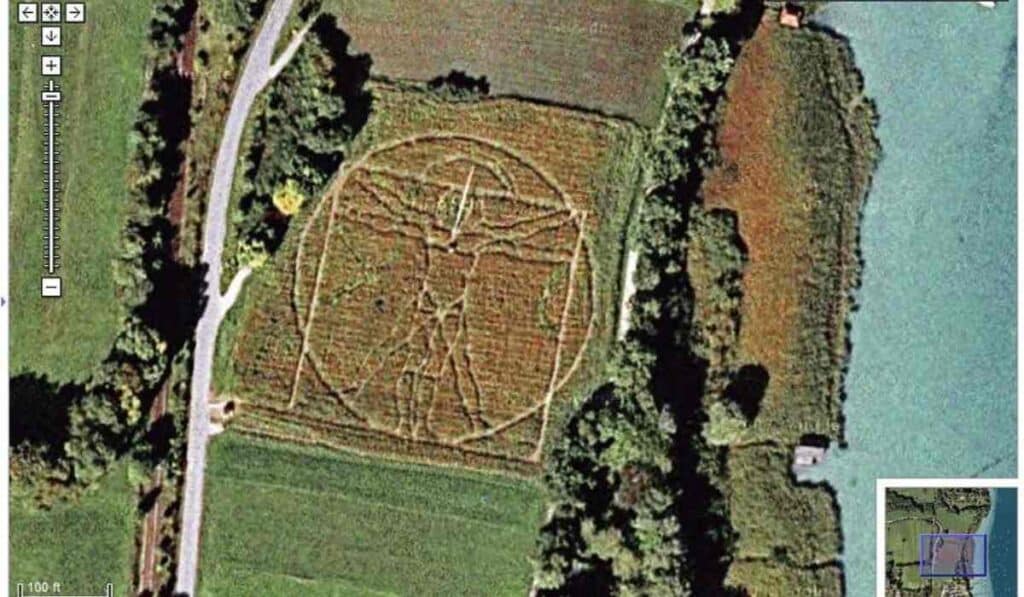 The Vitruvian man art - weird things on Google Earth street view