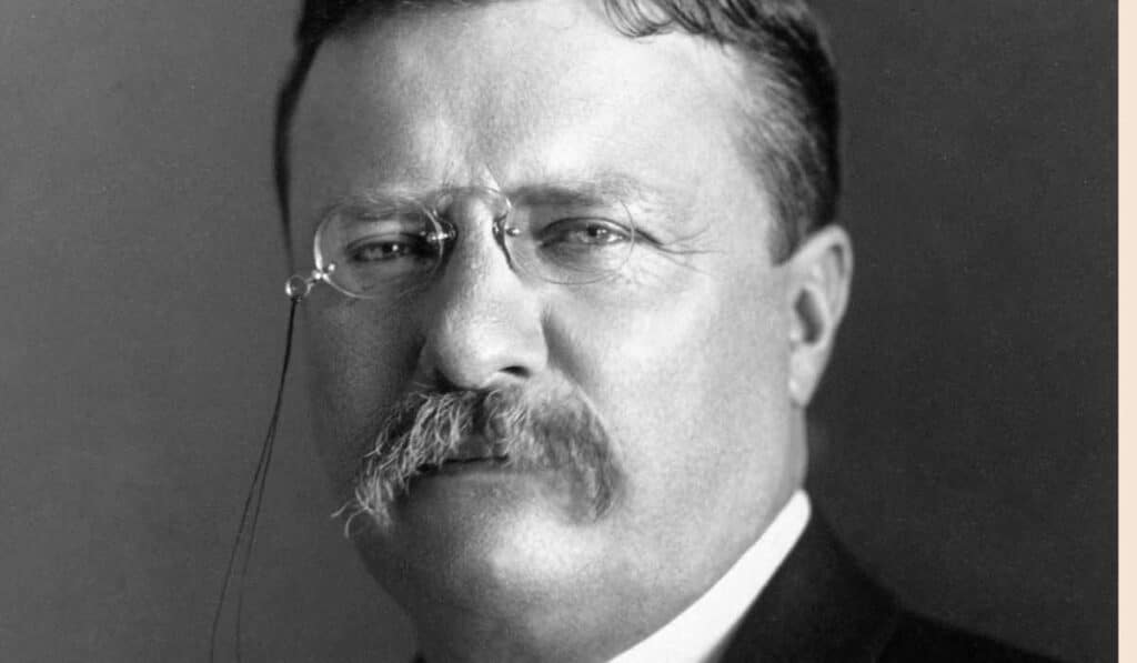 Theodore Roosevelt - famous moustaches in history