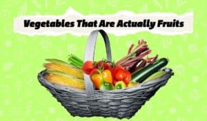 Vegetables That Are Fruits