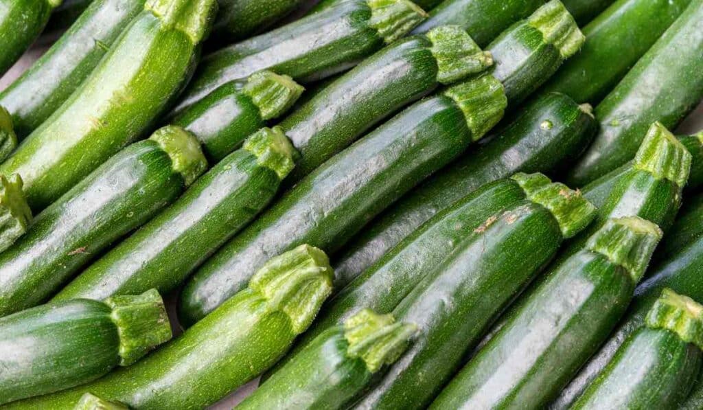 Zucchinis are not vegetables