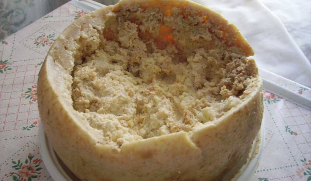 rarest foods in the world - casa marzu