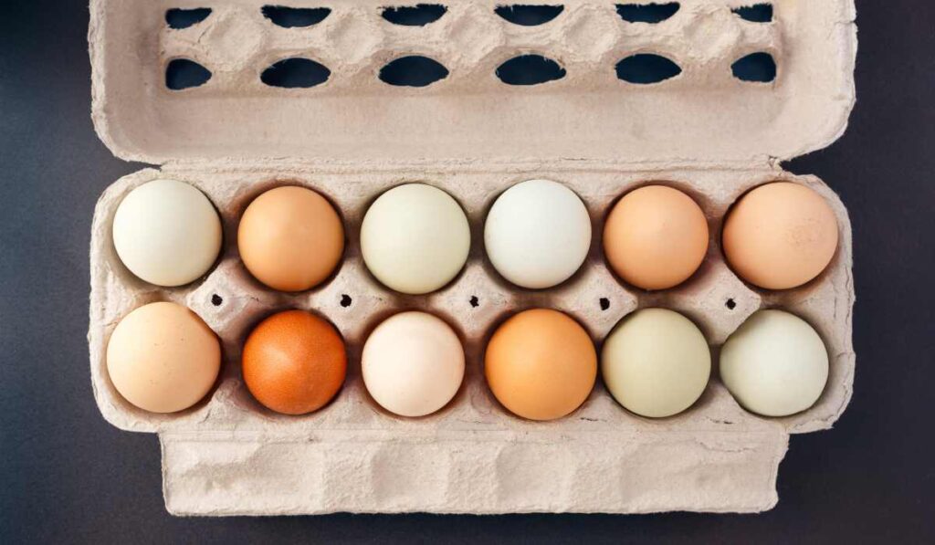 eggs are food that never expire
