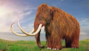 Prehistoric Animals Still Alive Today