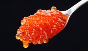 Rarest Foods In The World