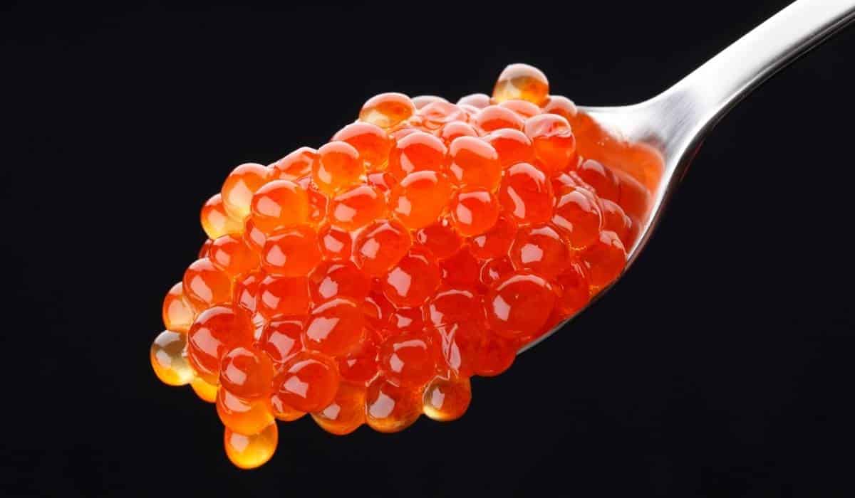 Rarest Foods In The World